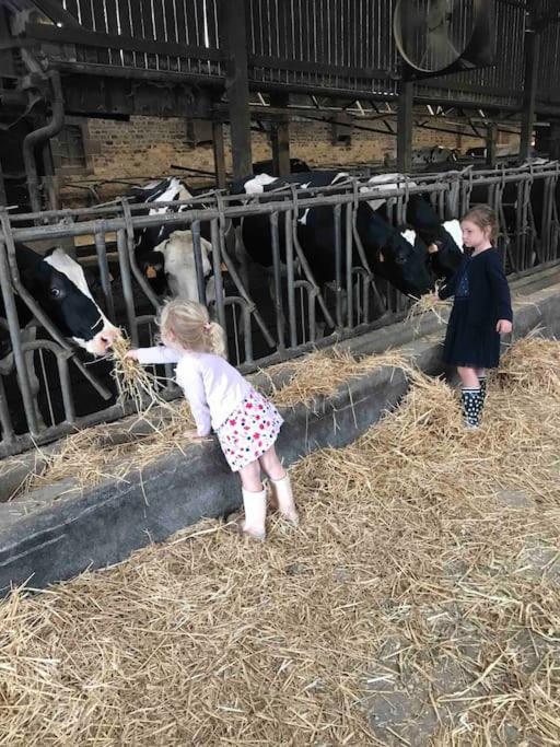 Gite Ferme Cidricole Et Laitiere Villa Magny-le-Desert Kültér fotó